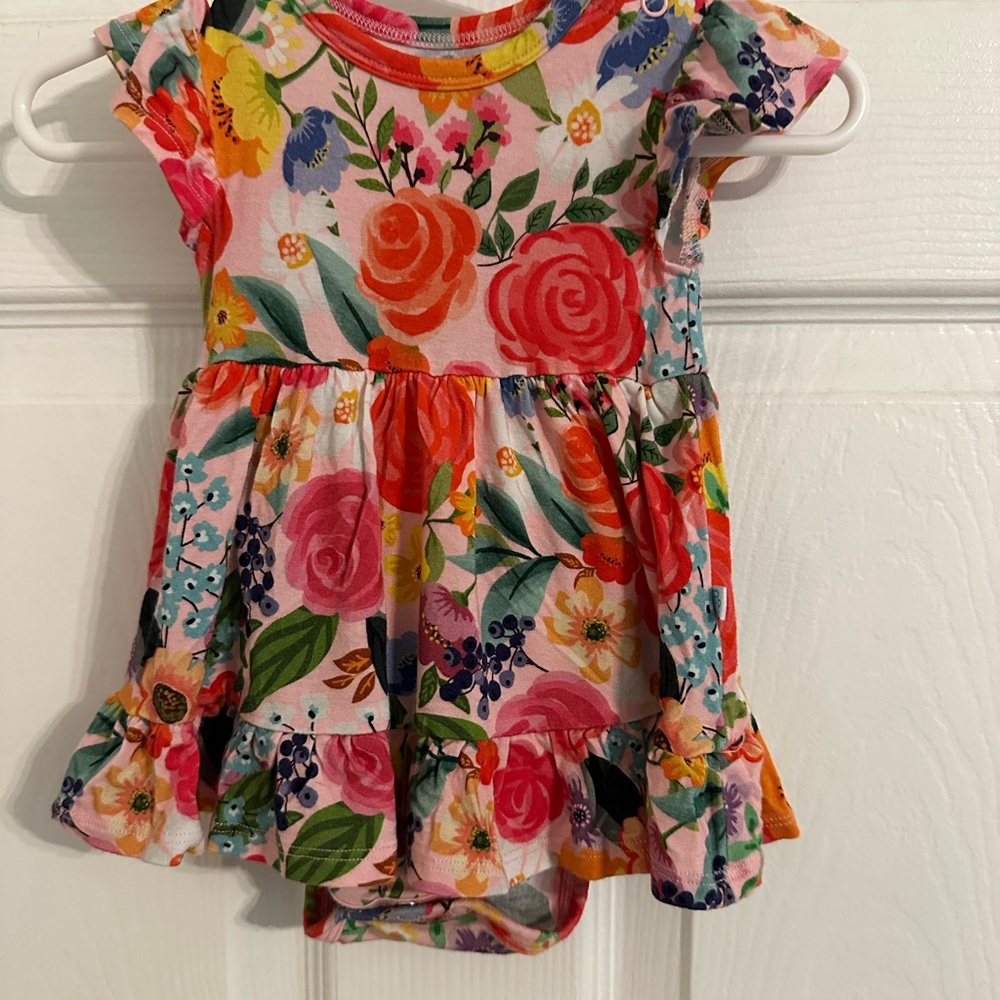 Posh Peanut Multicolor Floral Baby Dress